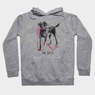 READY DOG Labrador with Leash Hoodie